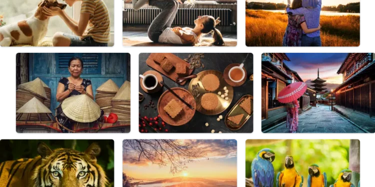 sell-photographs-online-thephotographydaily