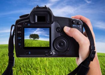 The Photography Daily