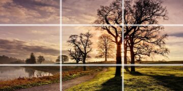 The Photography Daily