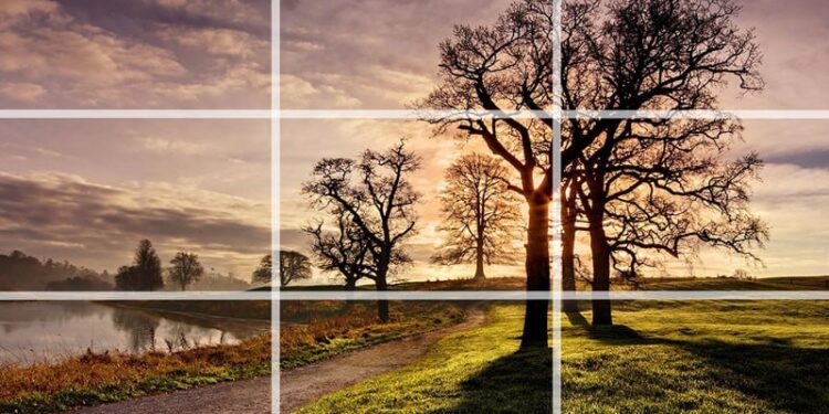 The Photography Daily